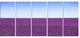 "Lavender Flowers With Blue Horizon" Landscape Wall Art Print, 5 Panels, 60"x28"