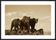 Grizzly Bear With Two One-Year-Old Cubs, North America, Sepia, 42"x30"