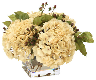 WaterlookÂ® Beige Hydrangeas, Brown Hypercum Berries in Square Glass Vase