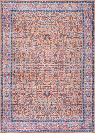 Kemer All-Over Persian Machine Washable Indoor Multi Area Rug, Multi, 3 X 5