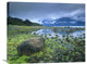"Low Tide Revealing Algae Covered Rocks, Alaska" Artwork, 28" x 22"
