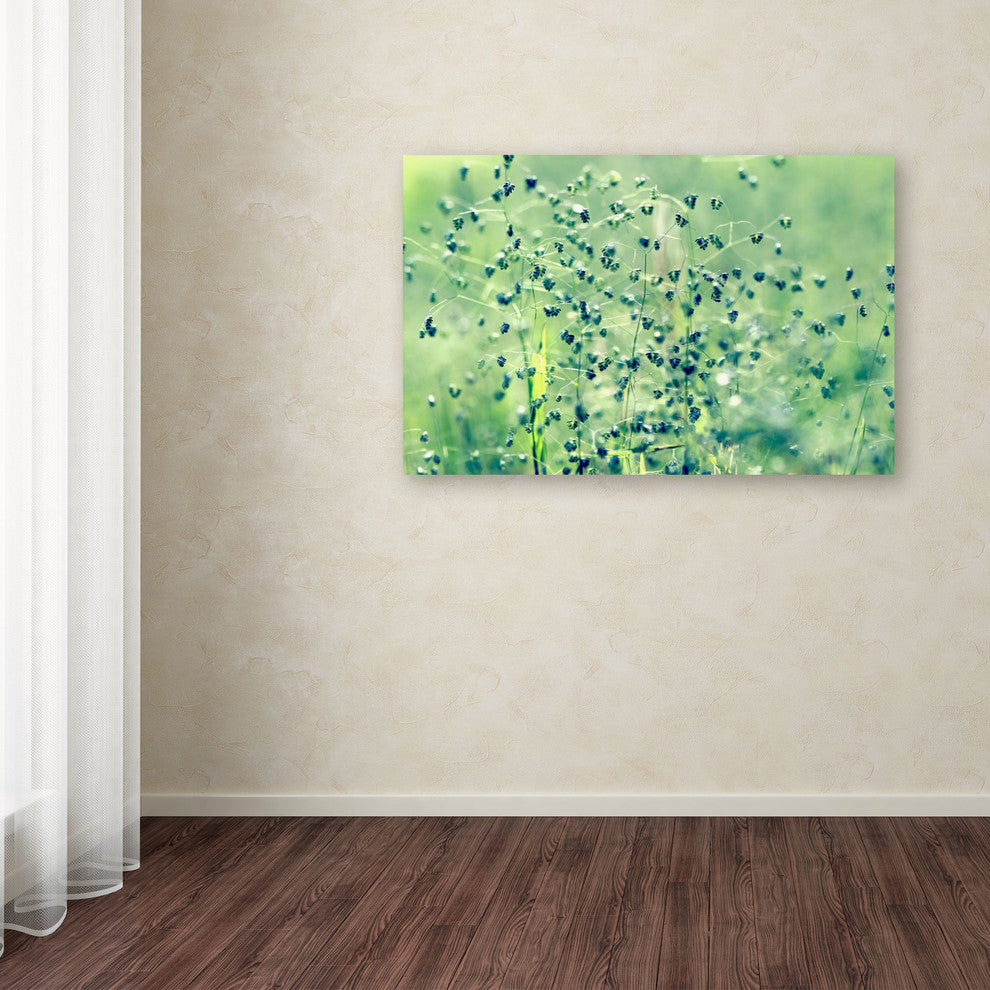 'Spring Notes' Canvas Art by Beata Czyzowska Young