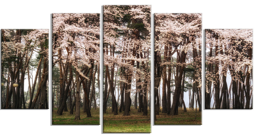 Cherry Blossoms in Pine Tree, Landscape Canvas Art Print, 60"x32", 5 Panels
