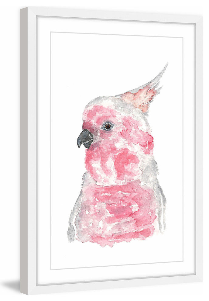 Marmont Hill, "Major Mitchell's Cockatoo" by Thimble Sparrow Framed Print, 30x45