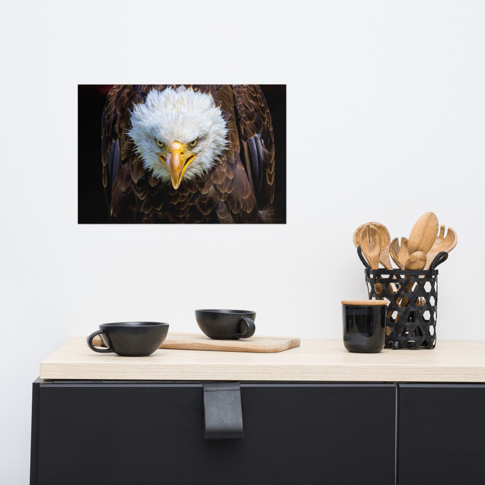 Bald Eagle Portrait Close-up Loose Wall Art Print, 12" X 18"