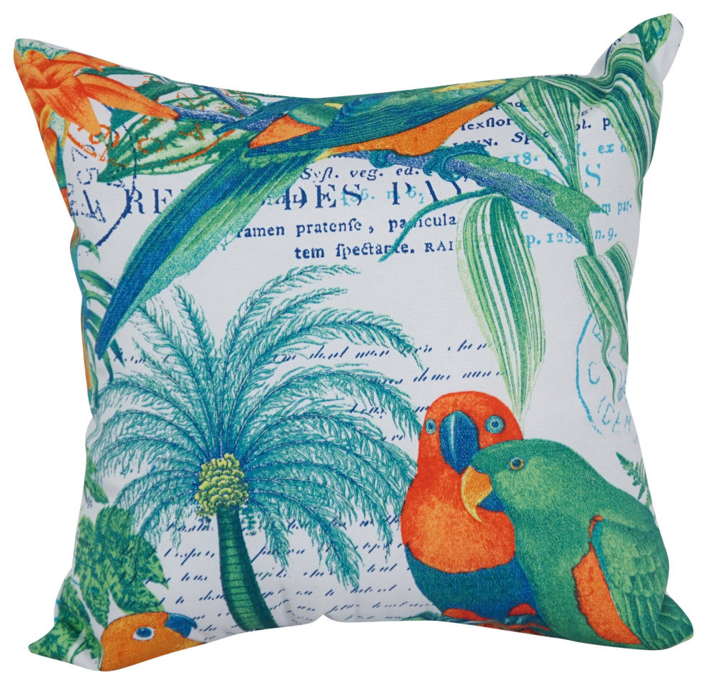 17" Square Polyester Outdoor Throw Pillows, Set of 4, Elcentro Curaco