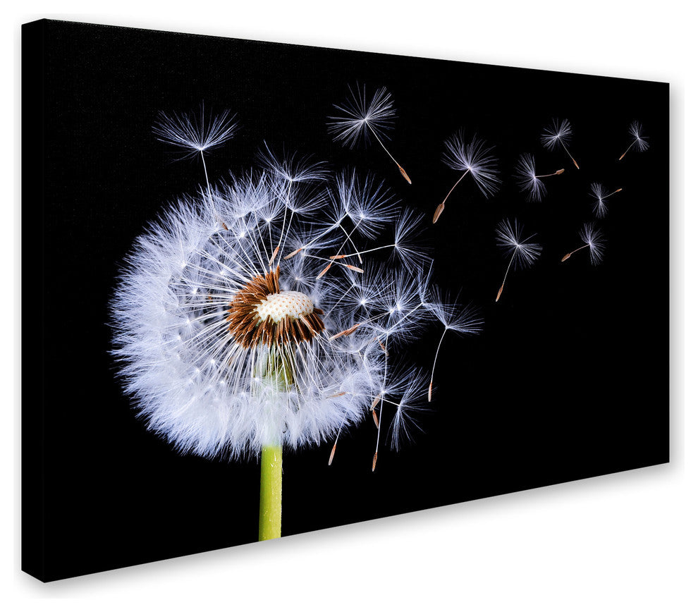 Bess Hamiti 'Dandelion Blowing' Canvas Art, 32x22