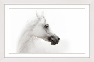"White Beauty" Framed Paper Print, 30x20 cm