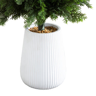Close-up of top of tree and planter on white background (alternate_white_close).