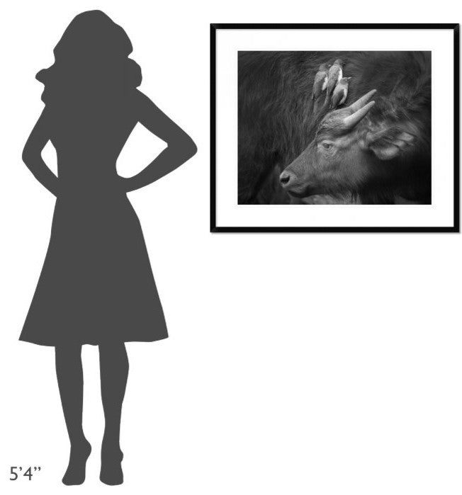 "Three Is A Crowd!" Framed Digital Print by Ali Khataw, 36x30"