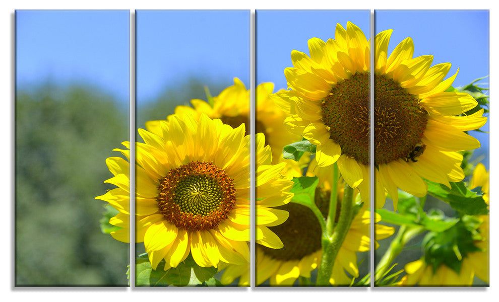 Beautiful Sunflowers View, Floral Canvas Art Print, 48"x28", 4 Panels