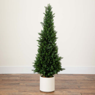 Full product on white background (primary_product).