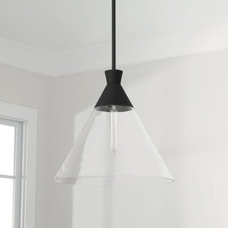 Capital Lighting Paloma 1-Light Pendant 350311XK Textured Black