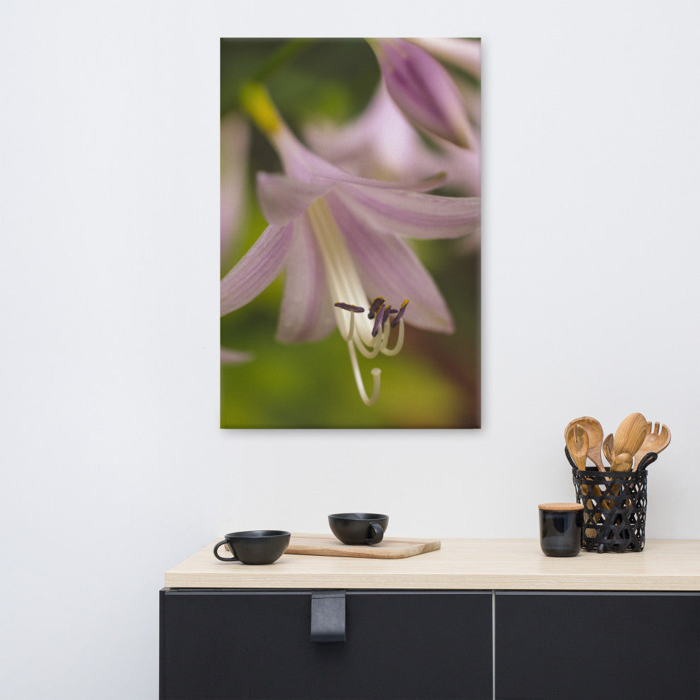 Close-up Hosta Bloom Floral Nature Photo Canvas Wall Art Print, 24" X 36"