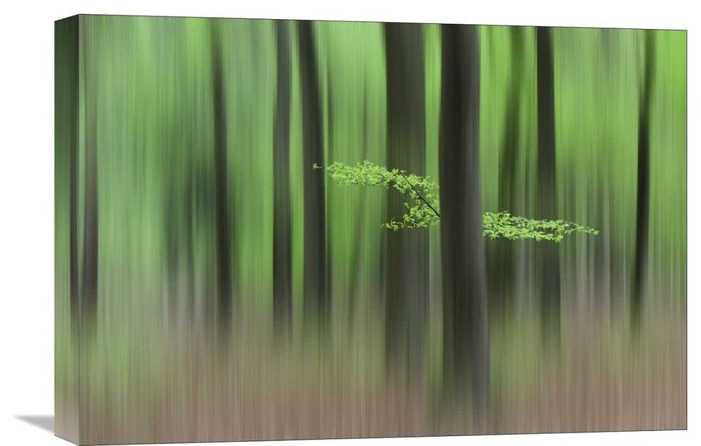 "Spring Morning" Stretched Canvas Giclee by Huib Limberg, 22x15"
