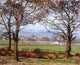 Camille Pissarro Near Sydenham Hill  Looking towards Lower Norwood Canvas Wrap