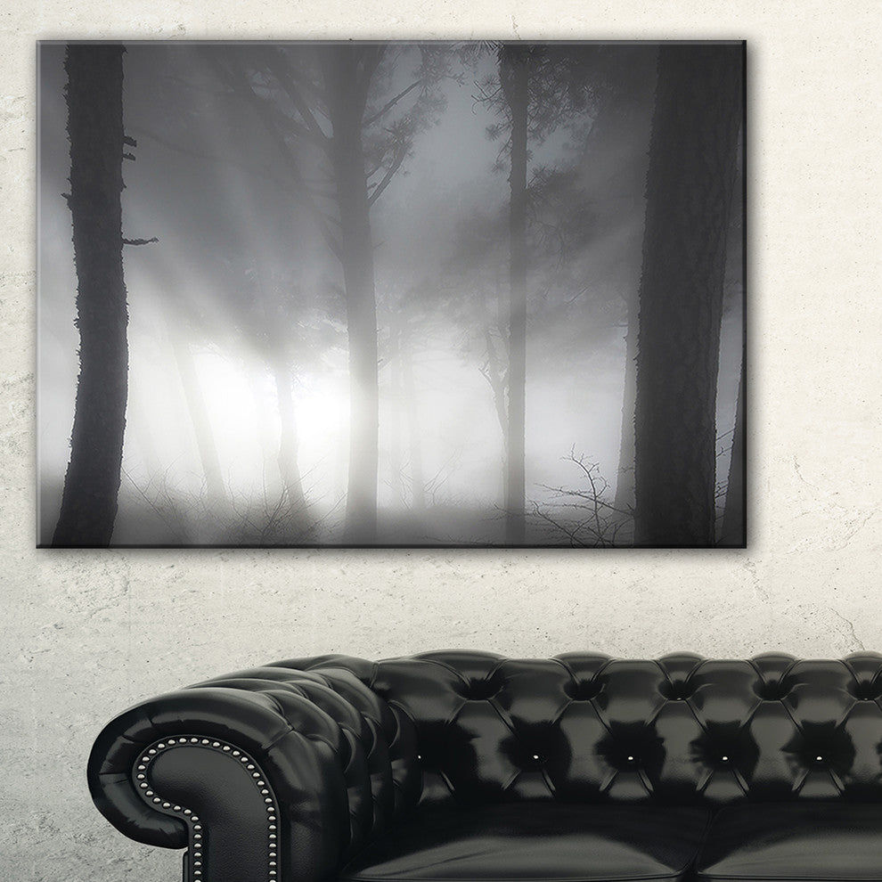 "Forest in Heavy Autumn Mist" Landscape Photo Wall Art, 32"x16"