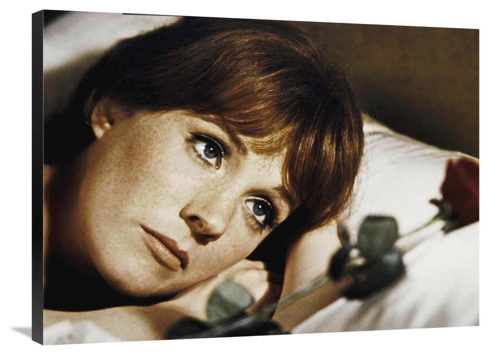 "Julie Andrews" Stretched Canvas Giclee by Hollywood Photo Archive, 36x27"
