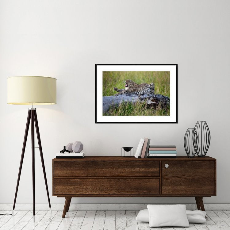 "Big Cat" Framed Digital Print by Alessandro Catta, 44x32"