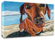 Sand Dog by Kathryn Wronski, Print on Canvas, 20"x16"