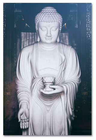 Philippe Hugonnard 'White Buddha' Canvas Art, 24"x16"