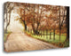 "Fog Ahead" By D. Burt, Giclee Print on Gallery Wrap Canvas, Ready to Hang