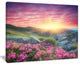 "Morning With Flowers in Mountains" Landscape Canvas Photo Print, 20"x12"