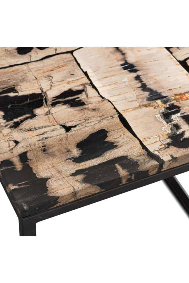 Rectangular Petrified Wood Coffee Table | Andrew Martin Luca