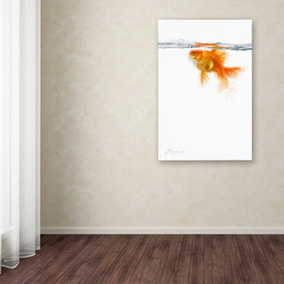 The Macneil Studio 'Goldfish' Canvas Art, 32"x22"