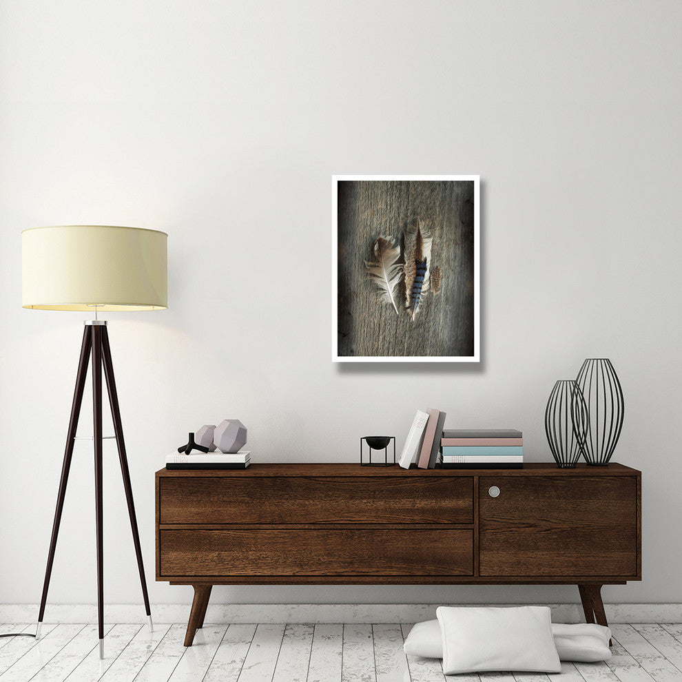 "Feather Collection III" Digital Paper Print by Sue Schlabach, 26"x34"