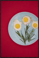 Flower Eggs, 20"x30"
