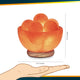 Himalayan Glow Massage Ball Natural Himalayan Bowl Salt Lamp