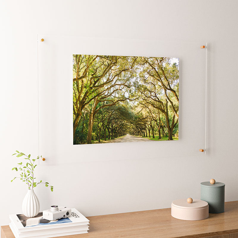 Bethany Young Photography Savannah Wormsloe Historic Ii Floating Acrylic Print
