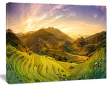 Rice Fields on Terraced Panorama, Landscape Canvas Art Print, 40"x30"