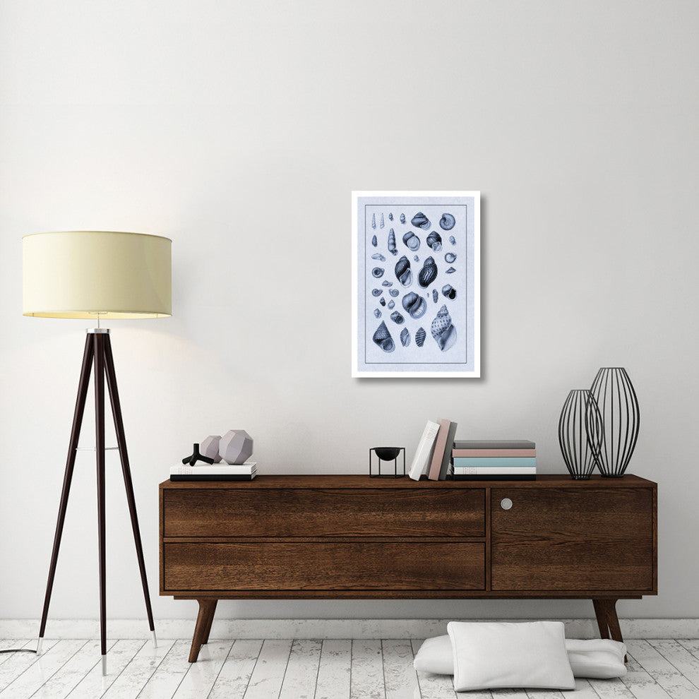 "Shells: Sessile Cirripedes #2 (Blue)" Paper Print by G.B. Sowerby, 22"x32"
