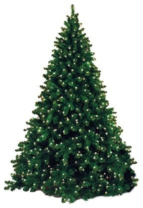 12'' Classic Sequoia Pre Lit LED Warm White Tree With Metal Stand