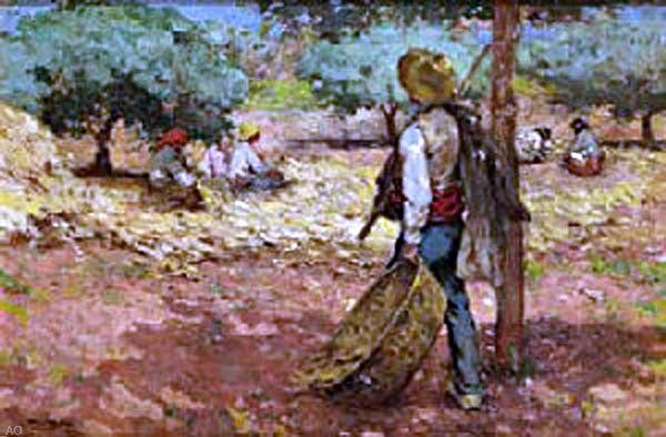 Alberto Pla y Rubio Hombre en el Campo, 18"x27" Wall Decal Print