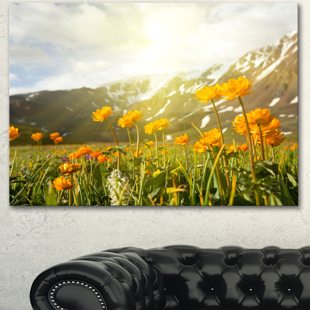 Mountain Pasture with Yellow Flowers, Floral Canvas Art Print, 40"x30"