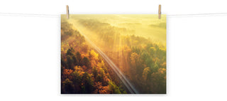 Sunrise Railroad Though Misty Forest Landscape Photo Loose Wall Art Prints, 18" X 24"