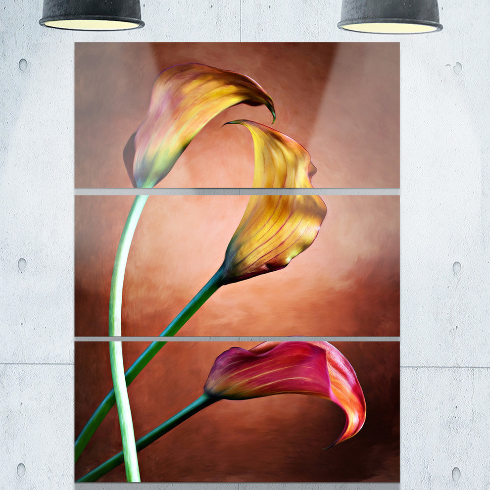 "Zantedeschia Aethiopica" Glossy Metal Wall Art, 3 Panels, 28"x36"