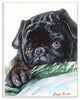 Black Pug Dog Pet Animal Watercolor Painting, 12"x18"