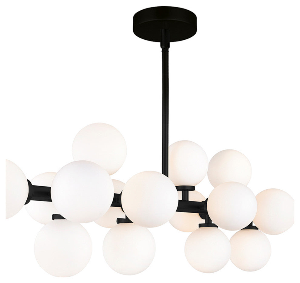 Arya 16 Light Chandelier With Black Finish