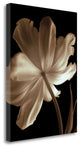 "Champagne Tulip II" By Charles Britt, Giclee Print on Gallery Wrap Canvas