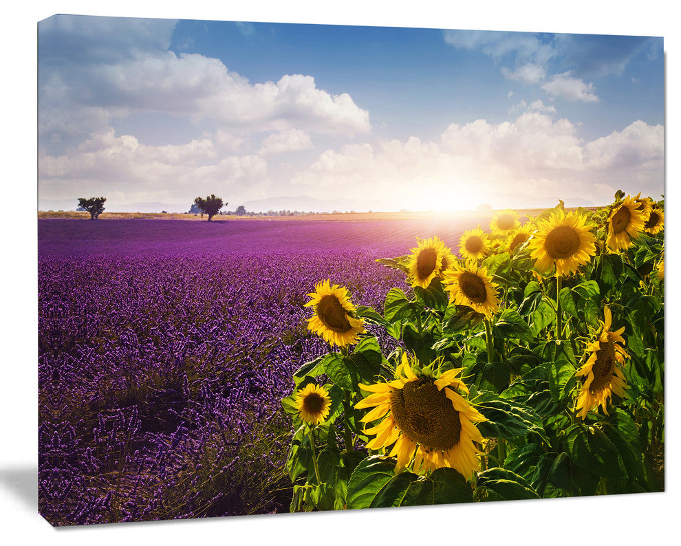 Lavender and Sunflower Fields, Floral Canvas Art Print, 20"x12"
