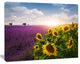 Lavender and Sunflower Fields, Floral Canvas Art Print, 20"x12"