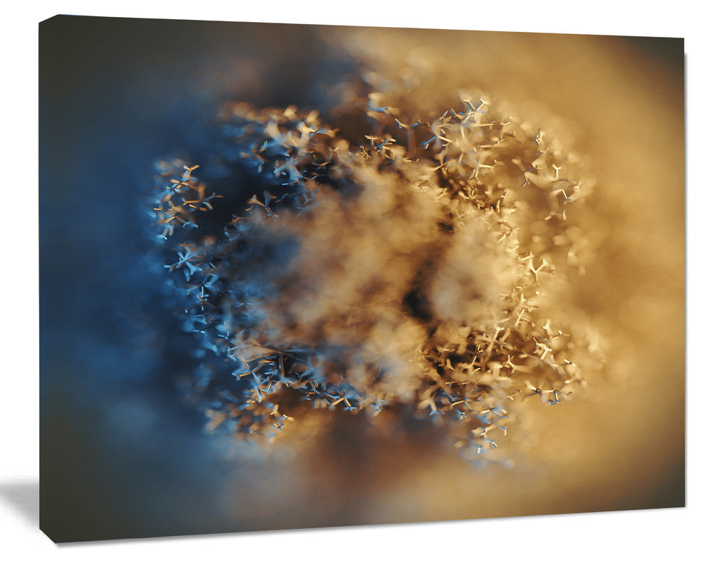 Large Macro Prickly Texture Brown, Abstract Canvas Wall Art, 40"x30"