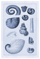 "Shells: Ammonacea (Blue)" Digital Paper Print by G.B. Sowerby, 34"x50"