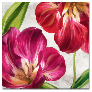 Color Bakery 'Open Arms I' Canvas Art, 35"x35"