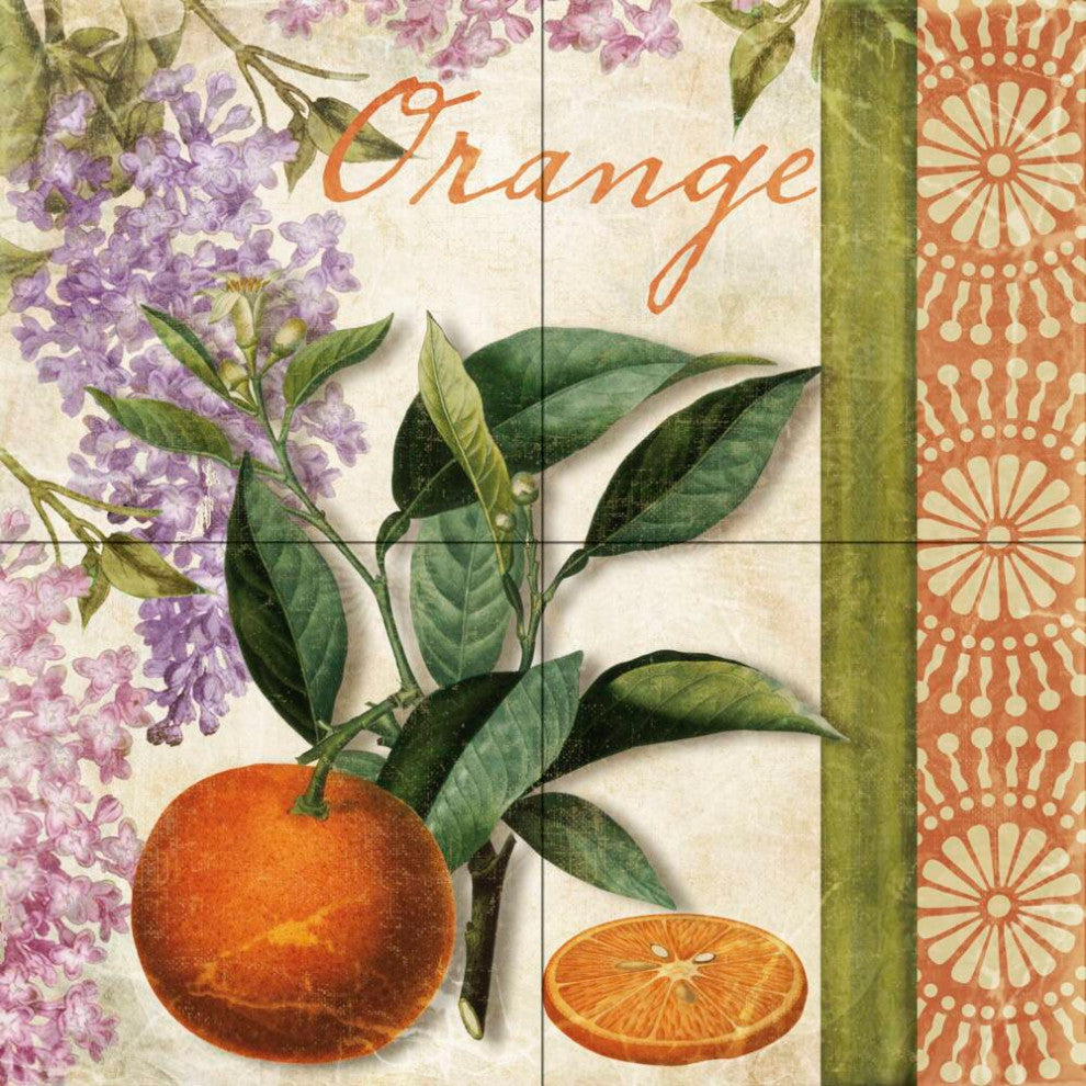 Tile Mural Kitchen Backsplash Summer Citrus II-CB by Color Bakery