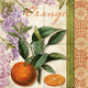 Tile Mural Kitchen Backsplash Summer Citrus II-CB by Color Bakery